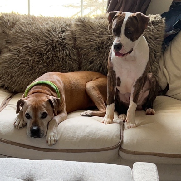 Meet your Posher, Jess - Picture 5 of 7